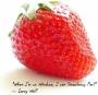 Strawberry Perl pro Windows