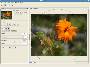 Citra FX Image Filter