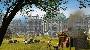 ANNO 1503