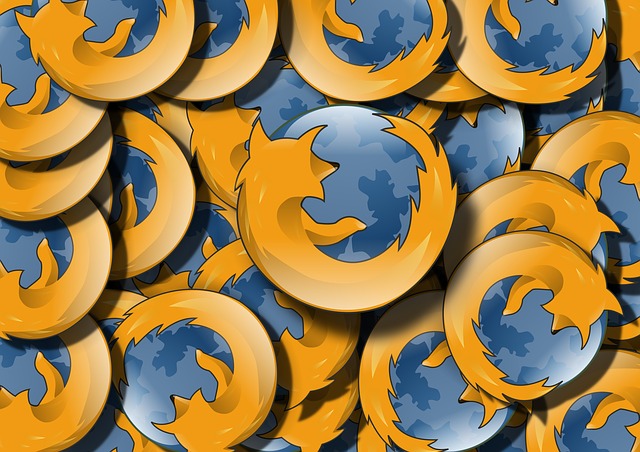 Zranitelnost Tor Browseru byla zapříčiněna jeho jádrem - Firefoxem Zranitelnost Tor Browseru byla zapříčiněna jeho jádrem - Firefoxem