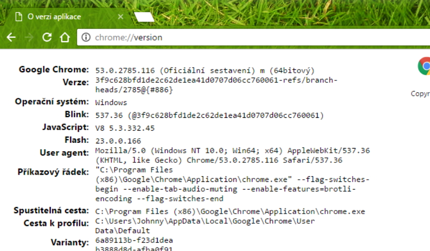 Verze prohlížeče včetně informací o vykreslovacím jádře, operačním systému, verzi JavaScriptu, Flashe... Verze prohlížeče včetně informací o vykreslovacím jádře, operačním systému, verzi JavaScriptu, Flashe...