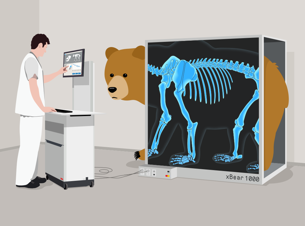 Experti z Cure53 koukli důkladně VPN medvídkovi TunnelBear pod kůži Experti z Cure53 koukli důkladně VPN medvídkovi TunnelBear pod kůži