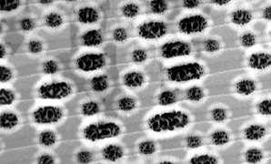 Anorganická datová vrstva M-disku pod mikroskopem
