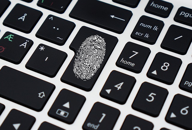 data-1590455_640.jpg Digitální otisk uživatelových zařízení a aktivit už dávno dosáhl informační specifičnosti fyzického otisku prstu