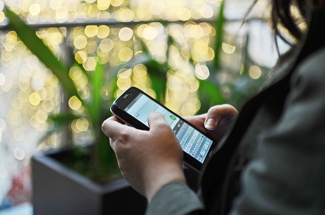 Výrobky Huawei a ZTE jsou bezpečnostní hrozbou (Zdroj: Pixabay.com) Výrobky Huawei a ZTE jsou bezpečnostní hrozbou (Zdroj: Pixabay.com)