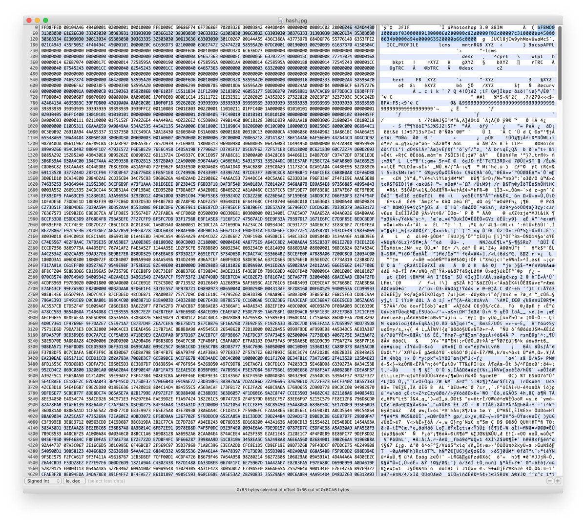 Hexadecimální soubor obrázku analyzovaného Jusupovičem (Zdroj: Twitter.com) Hexadecimální soubor obrázku analyzovaného Jusupovičem (Zdroj: Twitter.com)