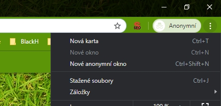 Vynucený anonymní režim - volba Nové okno pro běžný režim není dostupná Vynucený anonymní režim - volba Nové okno pro běžný režim není dostupná