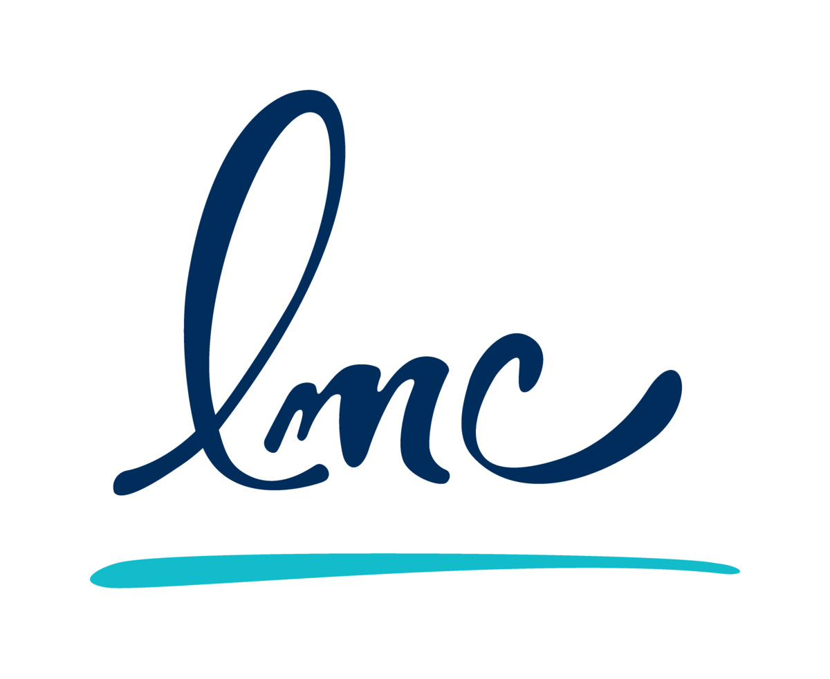 Společnost LMC akvíruje ajťácký Techloop.io (Zdroj: LMC) Společnost LMC akvíruje ajťácký Techloop.io (Zdroj: LMC)