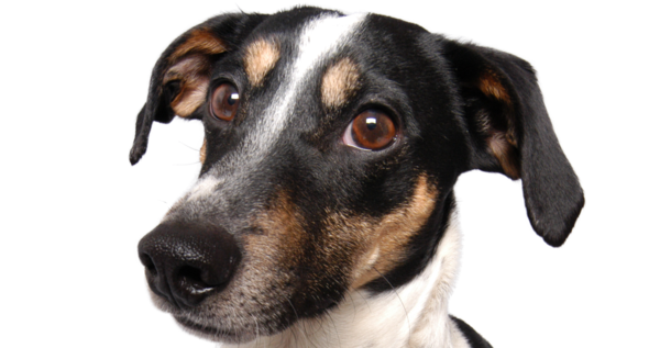 Jak zrušit dvoufázové ověřování účtu u Seznamu:? (Zdroj: Seznam.cz)