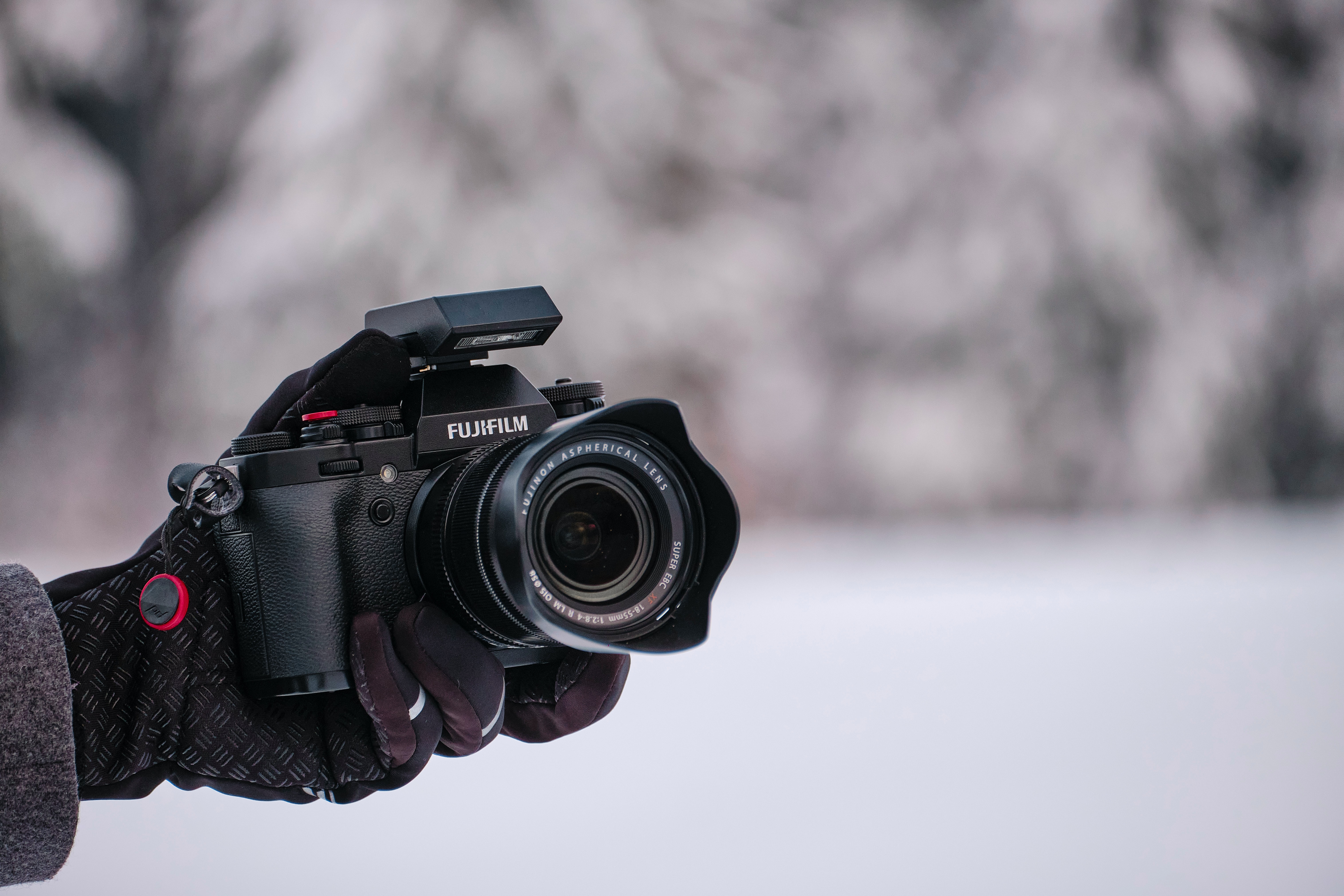 ilustrační obrázek