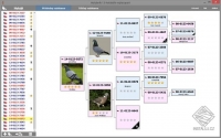 Holubník - evidenční aplikace určená chovatelům holubů
