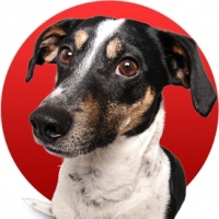 Jak zrušit dvoufaktorové ověřování účtu u Seznamu?