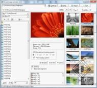 Ccy Image Viewer