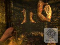 Amnesia: The Dark Descent