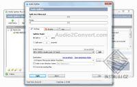 Audio Splitter Plus