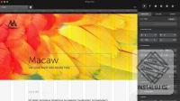 Macaw