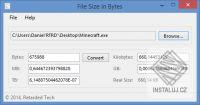 File Size in Bytes