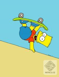 Bart on Skate