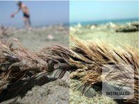 Easy White Balance Corrector