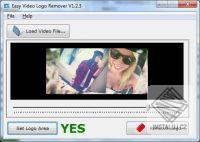 Easy Video Logo Remover