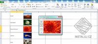 Excel Image Assistant