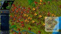 The Settlers III
