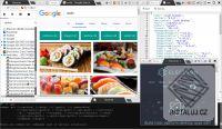 Sushi Browser