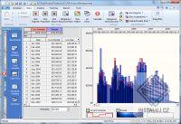 RiskyProject Professional