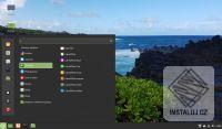 Linux Mint Cinnamon