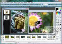 PhotoFiltre Studio Free