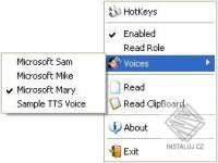 Screen Reader