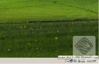 Automatically Take Screen Pictures Software