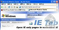 IE Tab
