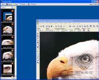 Capture View – obrázek 2 z 3