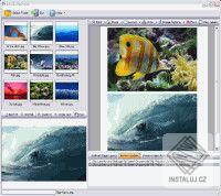 EZ-PicPrint