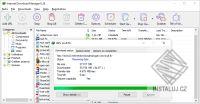 Internet Download Manager