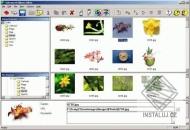 !Advanced Album Editor