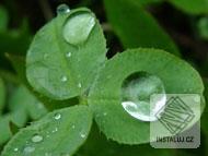 Rain Drops slideshow screensaver