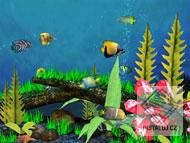 Aquarium 3D Screensaver