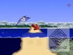 Laser Dolphin