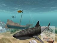 Shark Water World 3D Screensaver