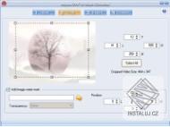 SWF to Video Converter