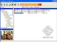CoffeeCup Free Viewer