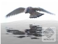 Sqirlz Water Reflections