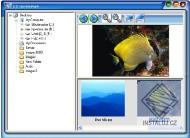 Image Viewer In Depth