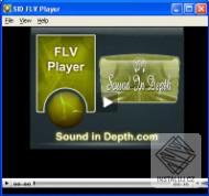 FLV Player