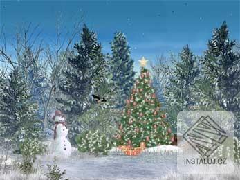 Christmas Forest
