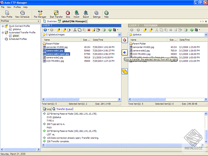 Auto FTP Manager