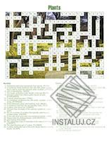 Crossword Forge