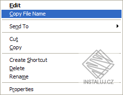 Copy File Name